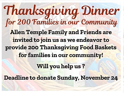 Thanksgiving Food Donations Website opt
