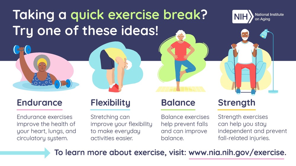 four types of exercise infographic