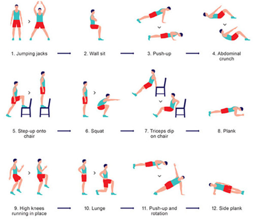 parts of exercise