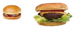 Burger-image 300